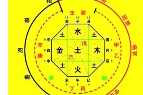 八字算名|生辰八字算命、五行喜用神查詢（免費測算）